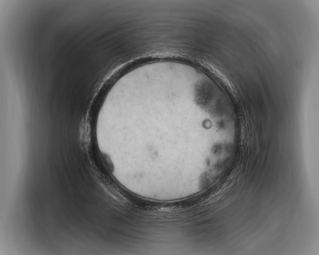 X0000116620584200912110942