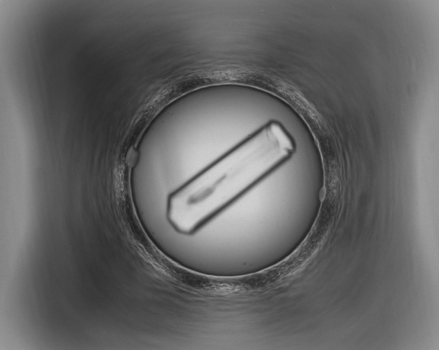 X0000116620585200912110942