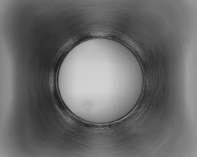 X0000116620586200912110942