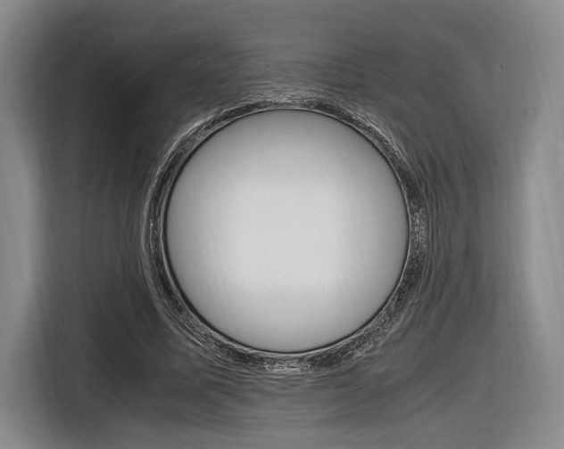 X0000116620587200912110942