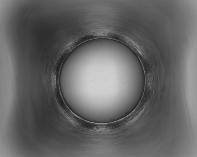 X0000116620589200912110942
