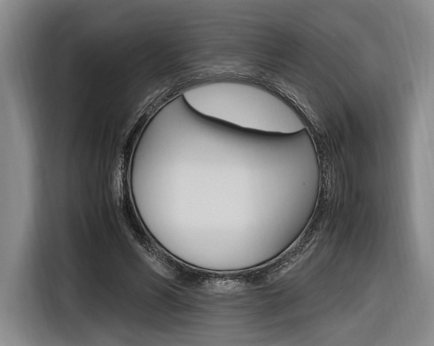 X0000116620590200912110942