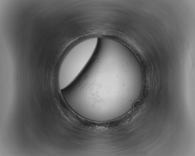 X0000116620592200912110942
