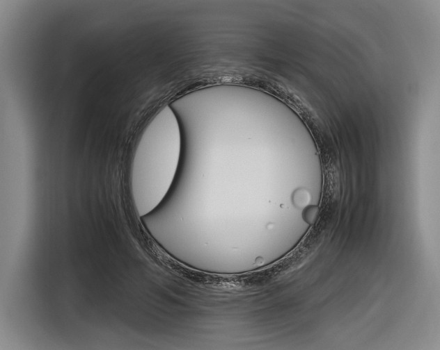X0000116620594200912110942