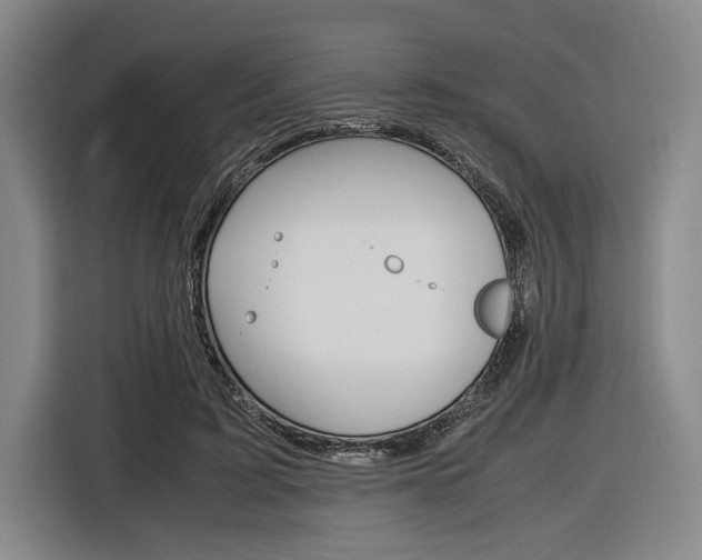 X0000116620595200912110942