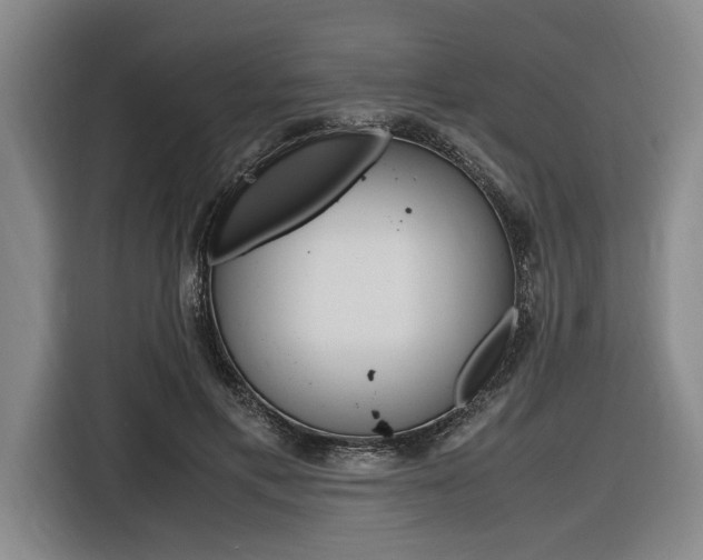 X0000116620597200912110942