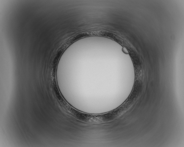 X0000116620599200912110942