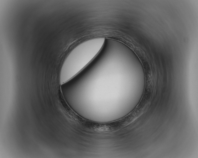 X0000116620600200912110942