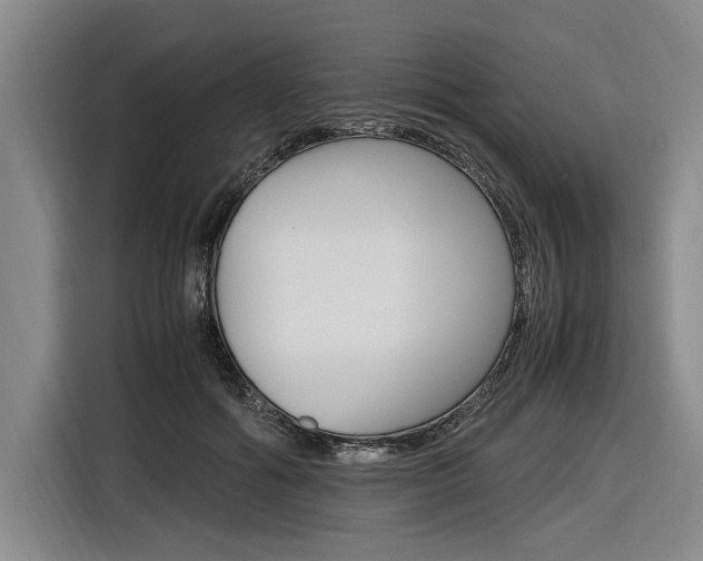 X0000116620602200912110942