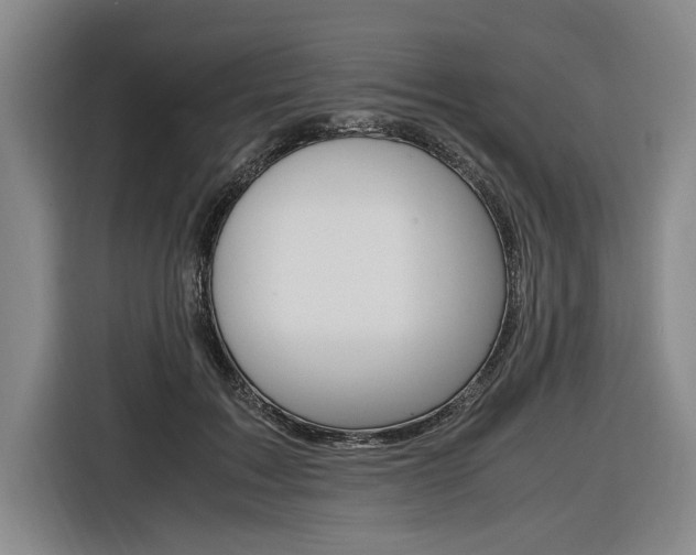 X0000116620603200912110942