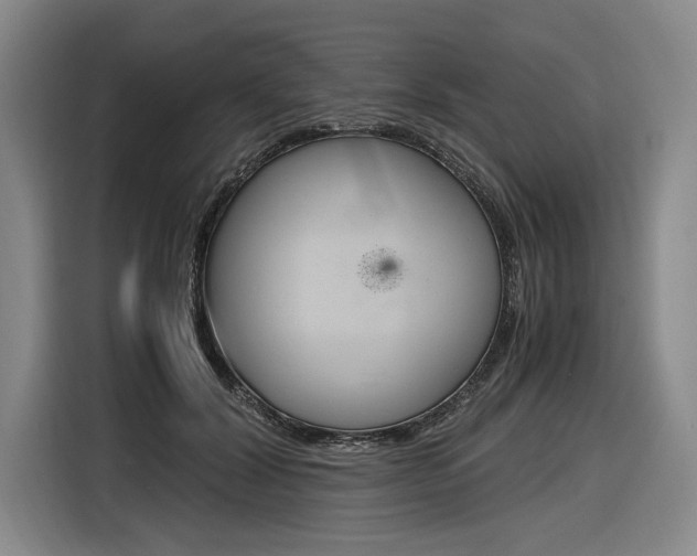 X0000116620604200912110942