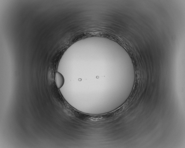 X0000116620606200912110942