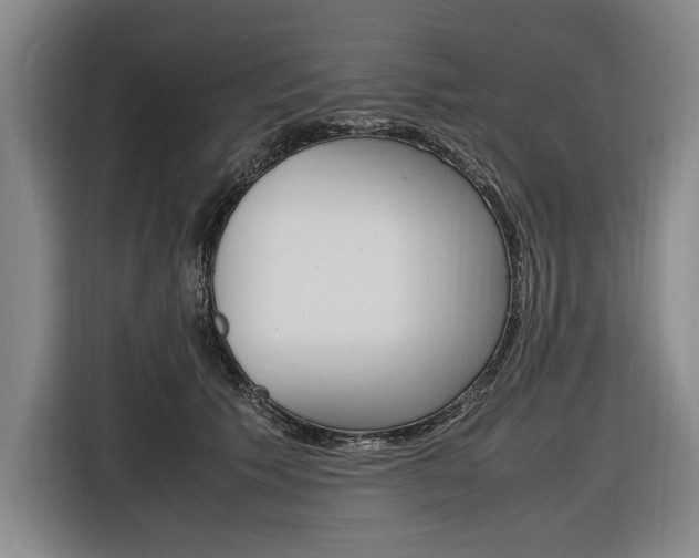 X0000116620609200912110942