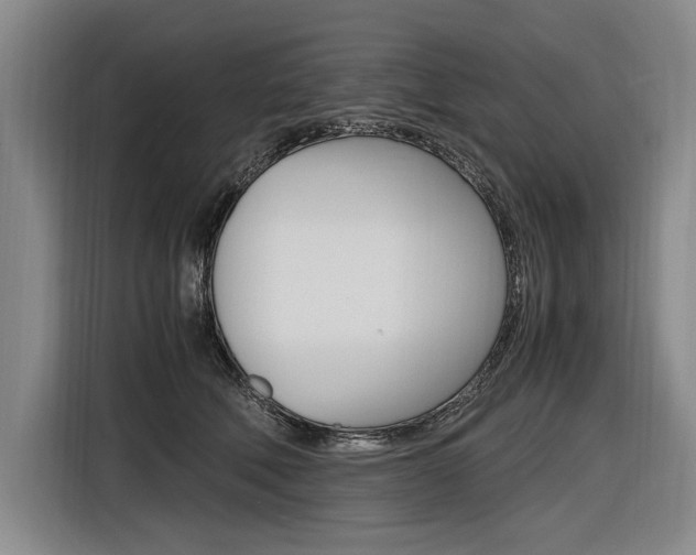 X0000116620610200912110942