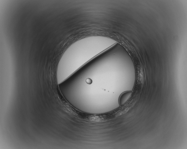 X0000116620616200912110942