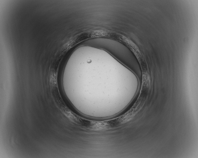X0000116620621200912110942