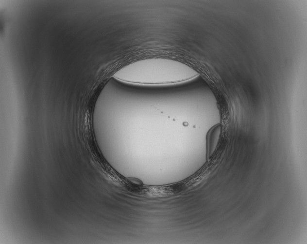 X0000116620623200912110942