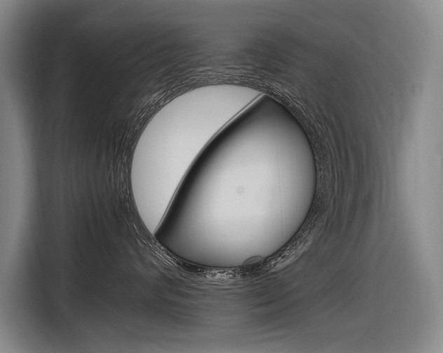 X0000116620624200912110942