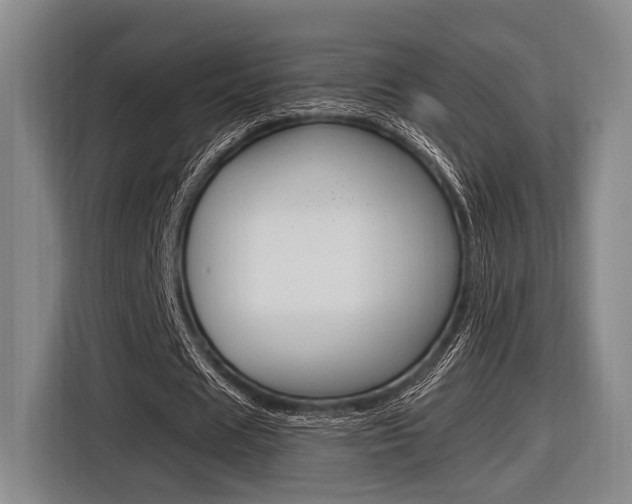 X0000116620625200912110941