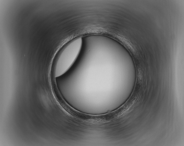 X0000116620630200912110941
