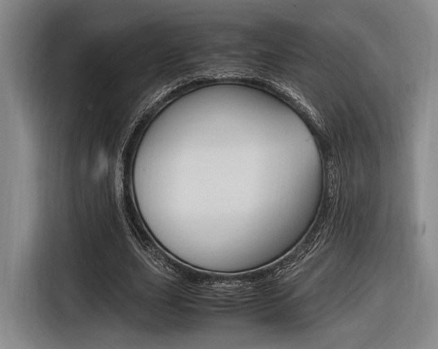 X0000116620631200912110941