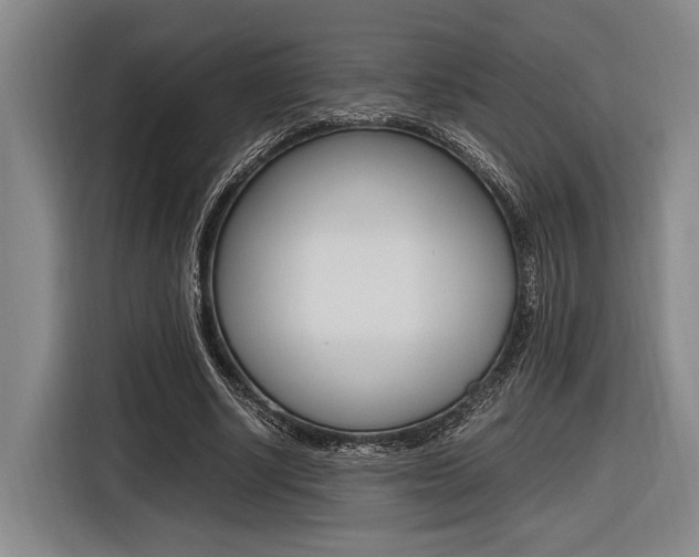 X0000116620634200912110941