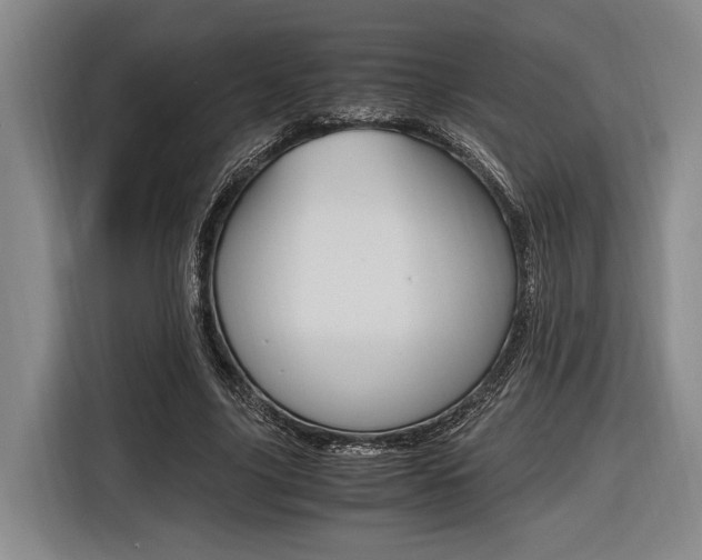 X0000116620635200912110941