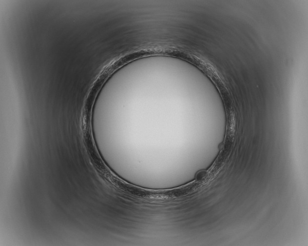 X0000116620636200912110941