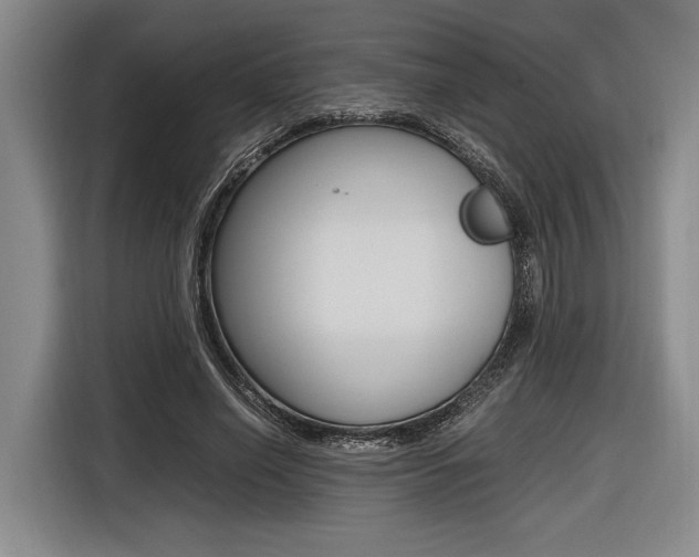 X0000116620638200912110941