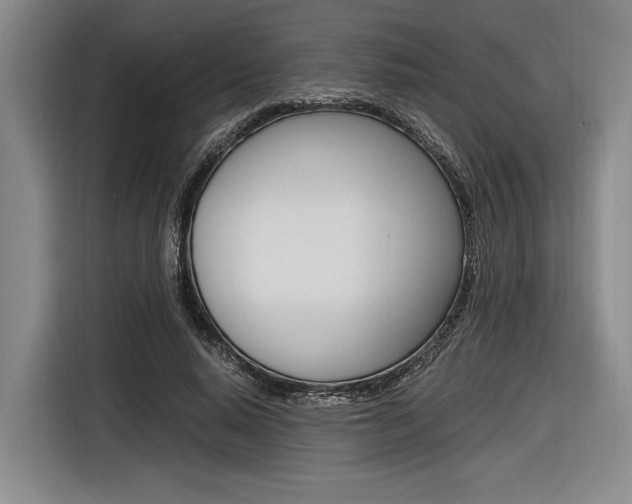 X0000116620640200912110941