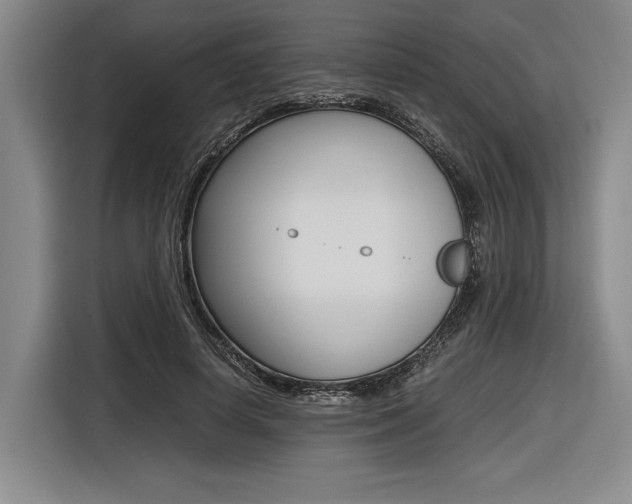 X0000116620642200912110941