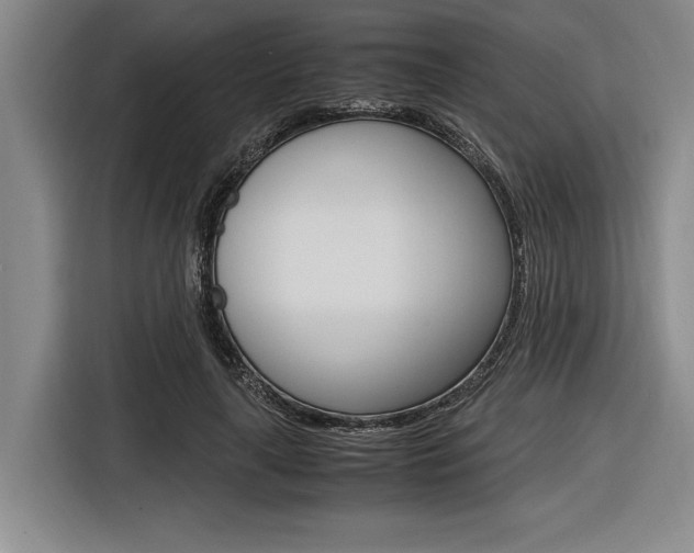 X0000116620643200912110941