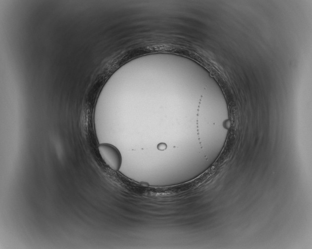 X0000116620645200912110941