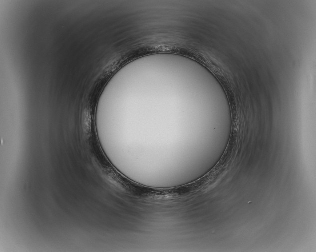 X0000116620646200912110941