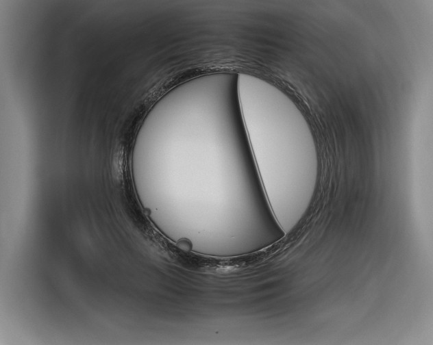X0000116620647200912110942