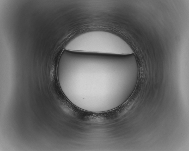X0000116620648200912110942
