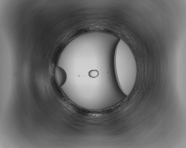 X0000116620649200912110942