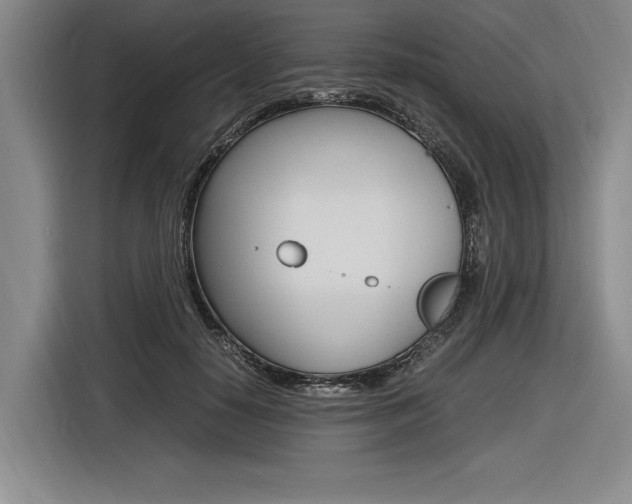 X0000116620650200912110942