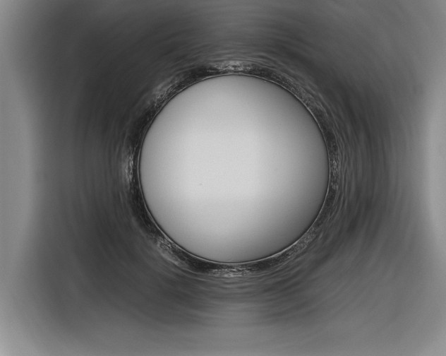 X0000116620652200912110942