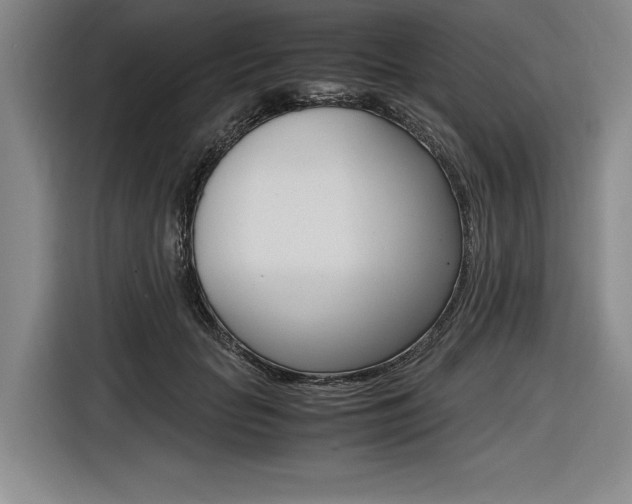 X0000116620653200912110942