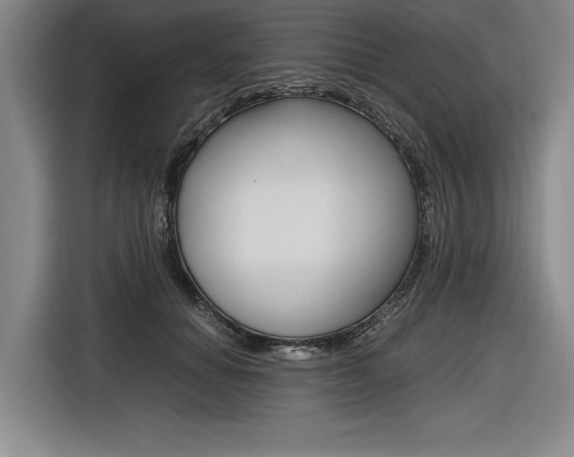 X0000116620654200912110942