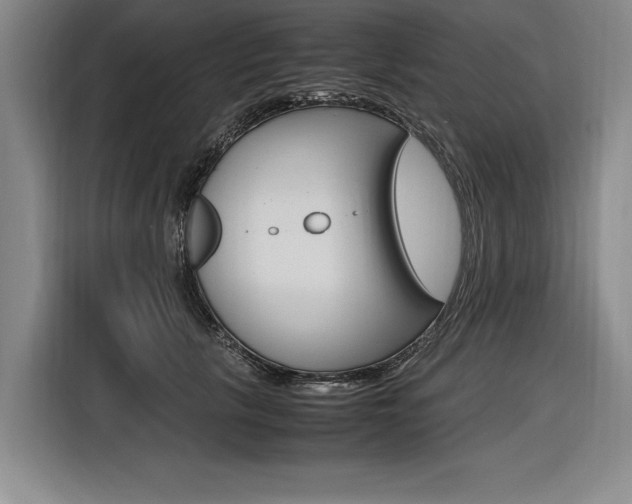 X0000116620657200912110942