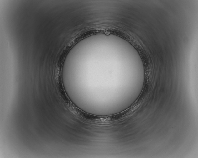 X0000116620660200912110942
