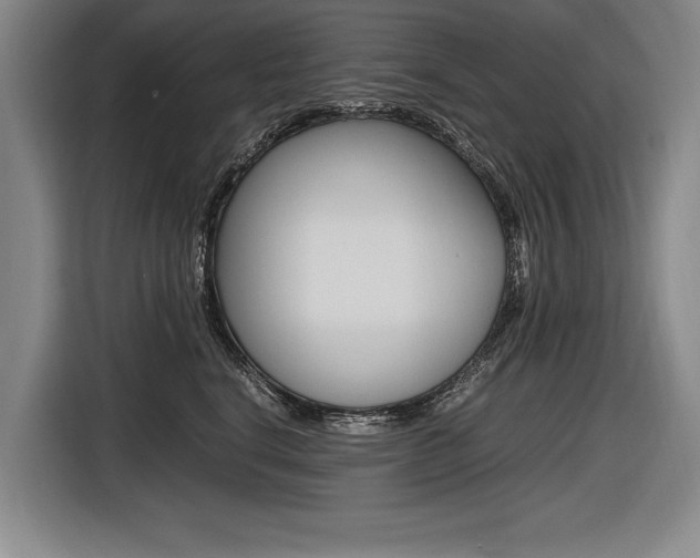 X0000116620664200912110942