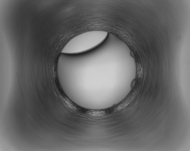 X0000116620670200912110942
