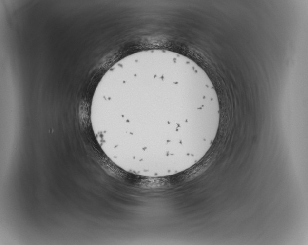 X0000116620672200912110942