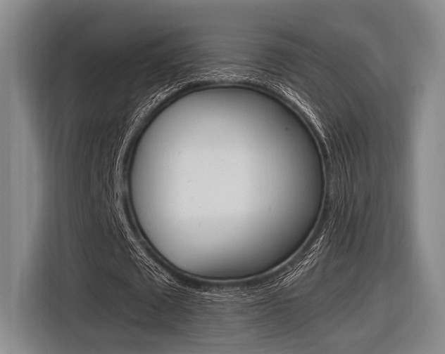 X0000116620673200912110941