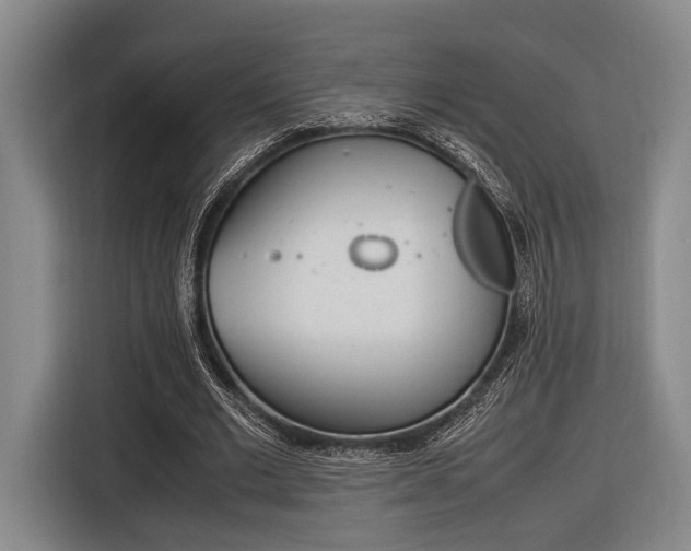 X0000116620677200912110941