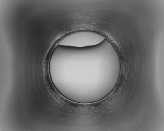 X0000116620679200912110941