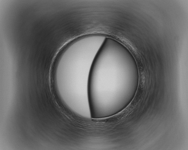 X0000116620680200912110941